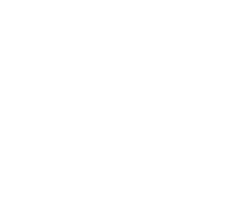 section-divider-1